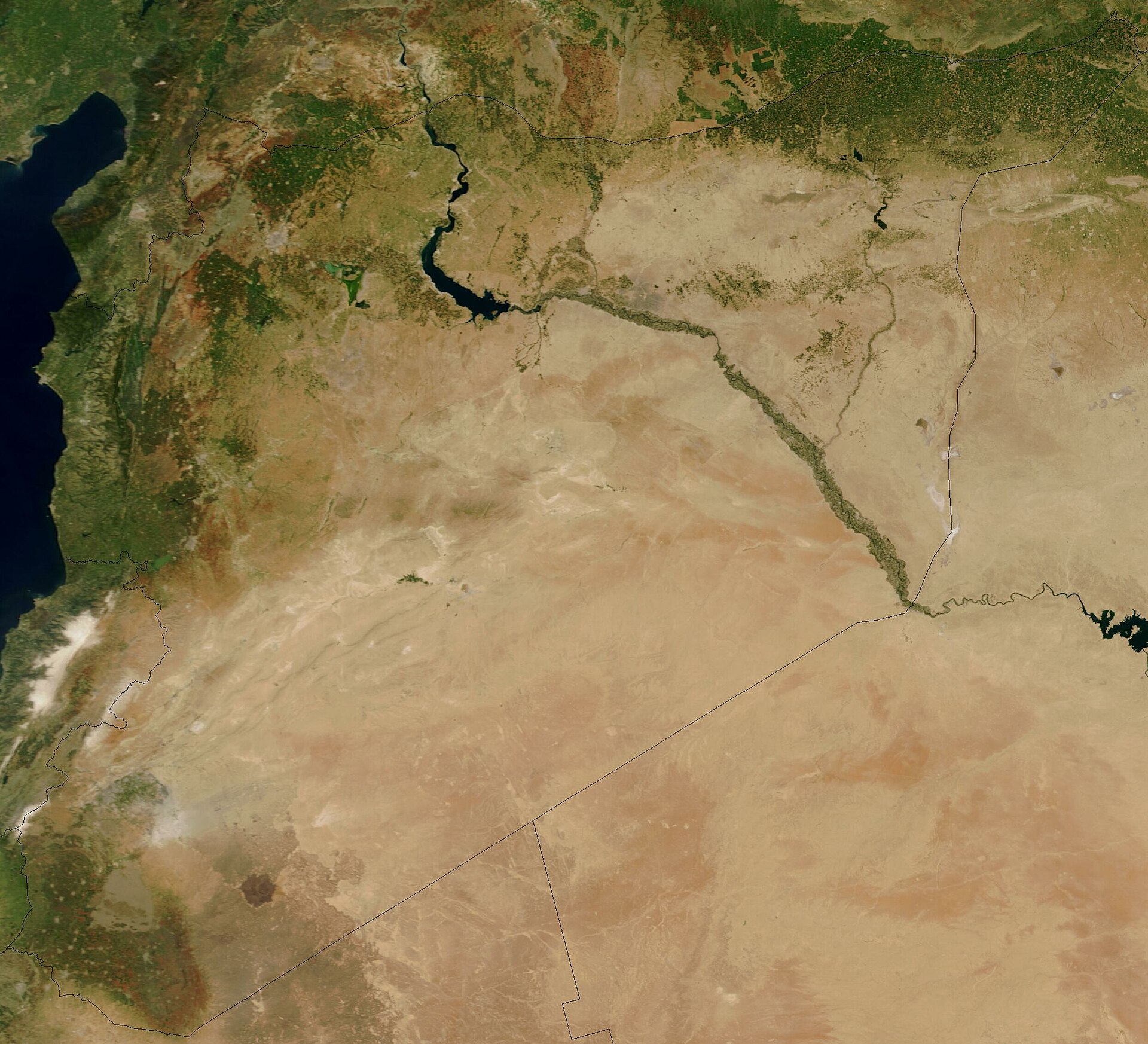 Satellite view of Syria showing the green coast and river valleys giving way to the arid interior