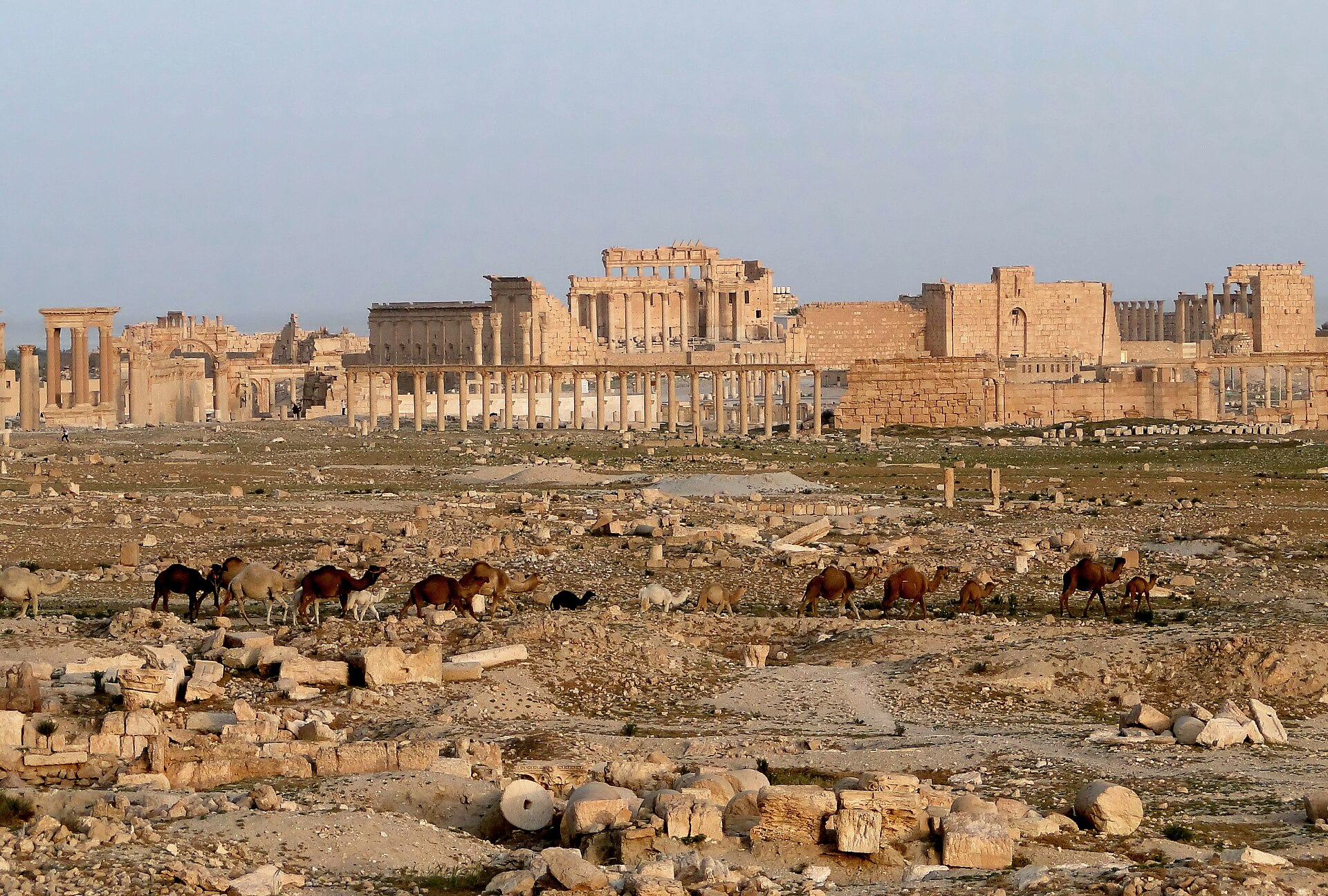 The Great Colonnade and ruins of ancient Palmyra